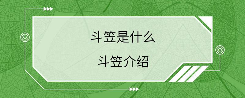 斗笠是什么 斗笠介绍