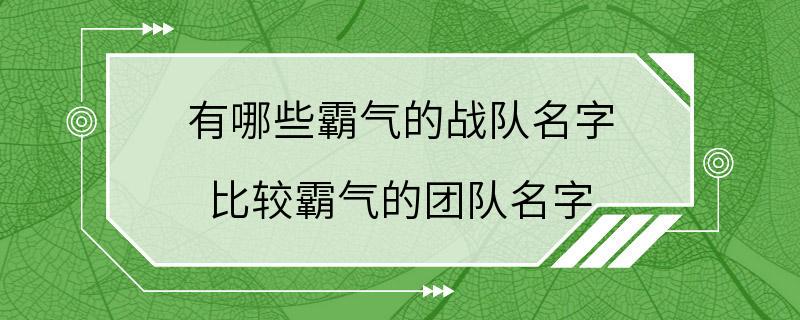 有哪些霸气的战队名字 比较霸气的团队名字