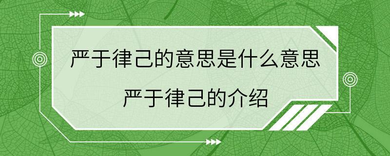 严于律己的意思是什么意思 严于律己的介绍