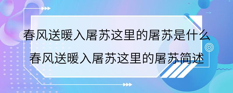 春风送暖入屠苏这里的屠苏是什么 春风送暖入屠苏这里的屠苏简述