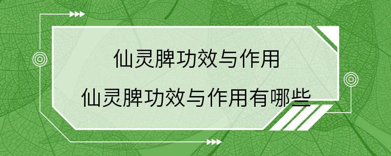 仙灵脾功效与作用 仙灵脾功效与作用有哪些