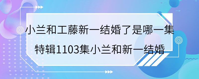 小兰和工藤新一结婚了是哪一集 特辑1103集小兰和新一结婚