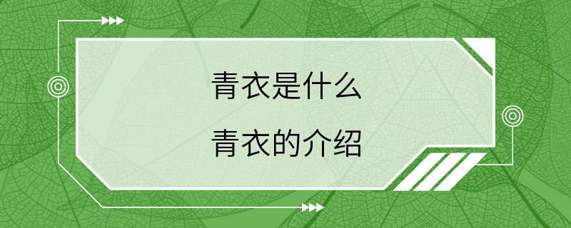 青衣是什么 青衣的介绍