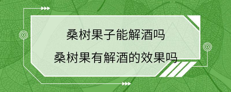 桑树果子能解酒吗 桑树果有解酒的效果吗