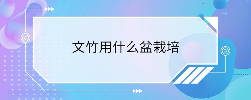 文竹用什么盆栽培