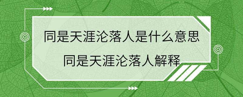 同是天涯沦落人是什么意思 同是天涯沦落人解释