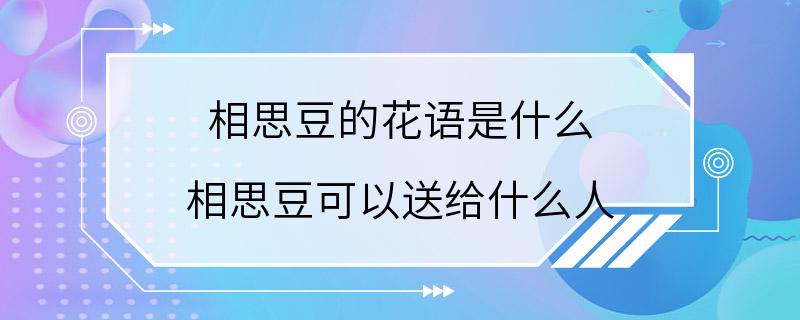 相思豆的花语是什么 相思豆可以送给什么人