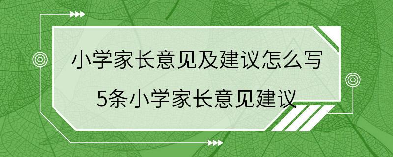 小学家长意见及建议怎么写 5条小学家长意见建议