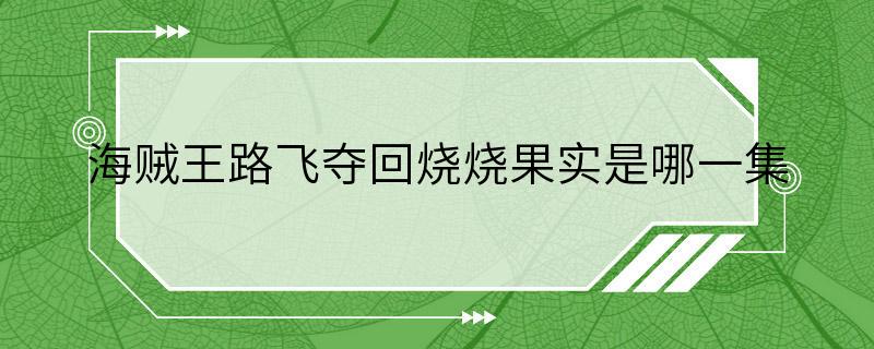 海贼王路飞夺回烧烧果实是哪一集