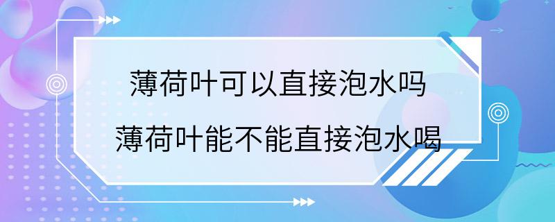 薄荷叶可以直接泡水吗 薄荷叶能不能直接泡水喝