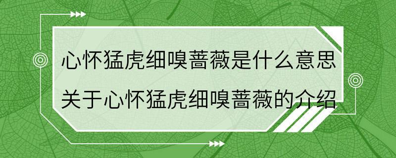 心怀猛虎细嗅蔷薇是什么意思 关于心怀猛虎细嗅蔷薇的介绍