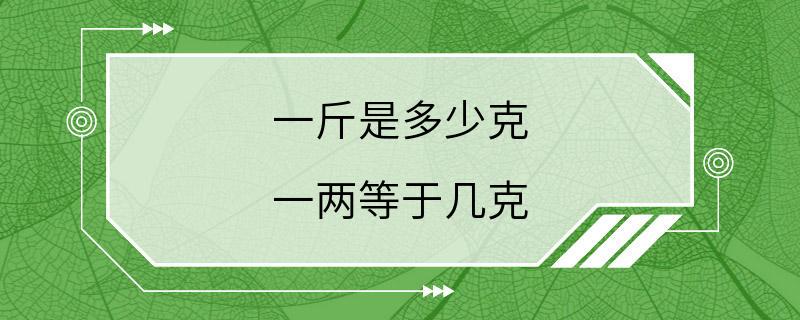 一斤是多少克 一两等于几克