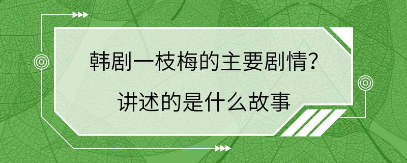 韩剧一枝梅的主要剧情？ 讲述的是什么故事