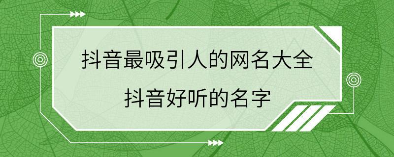 抖音最吸引人的网名大全 抖音好听的名字