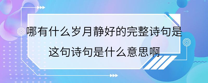 哪有什么岁月静好的完整诗句是 这句诗句是什么意思啊