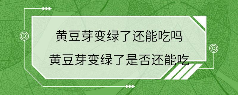 黄豆芽变绿了还能吃吗 黄豆芽变绿了是否还能吃