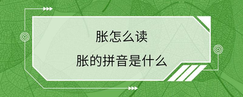 胀怎么读 胀的拼音是什么