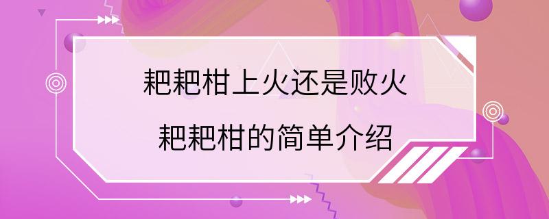 耙耙柑上火还是败火 耙耙柑的简单介绍