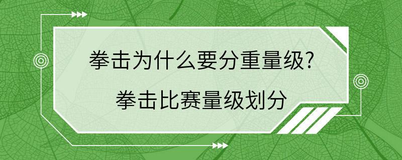 拳击为什么要分重量级? 拳击比赛量级划分