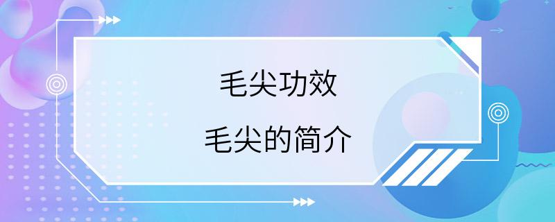 毛尖功效 毛尖的简介