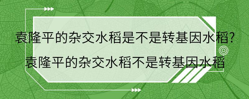 袁隆平的杂交水稻是不是转基因水稻? 袁隆平的杂交水稻不是转基因水稻