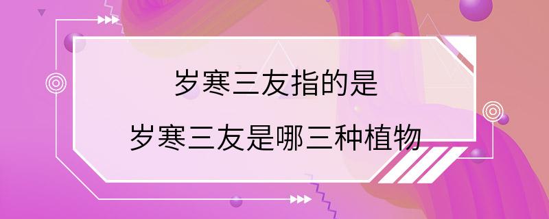 岁寒三友指的是 岁寒三友是哪三种植物