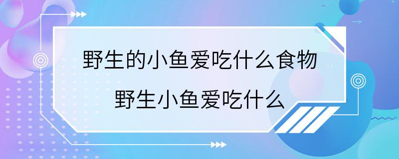 野生的小鱼爱吃什么食物 野生小鱼爱吃什么