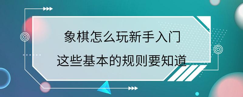 象棋怎么玩新手入门 这些基本的规则要知道