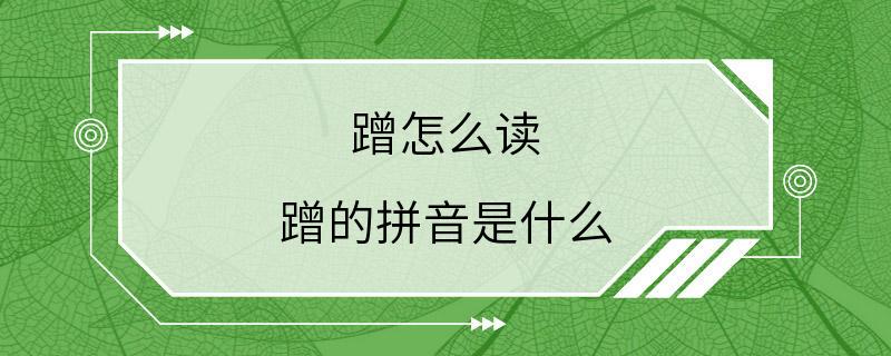 蹭怎么读 蹭的拼音是什么