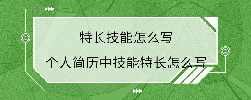 特长技能怎么写 个人简历中技能特长怎么写