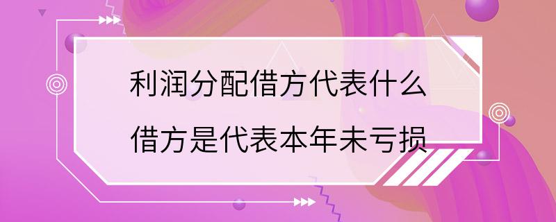 利润分配借方代表什么 借方是代表本年未亏损