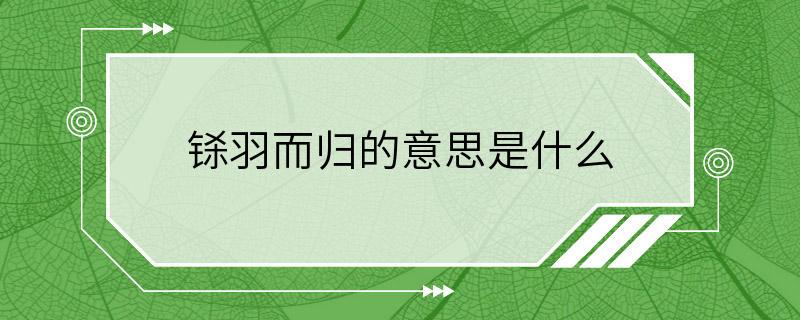 铩羽而归的意思是什么