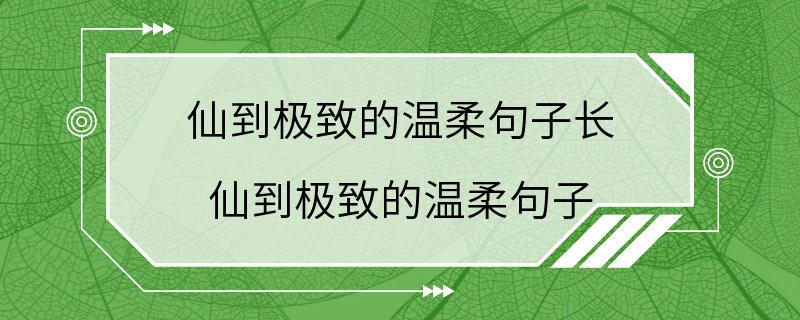 仙到极致的温柔句子长 仙到极致的温柔句子