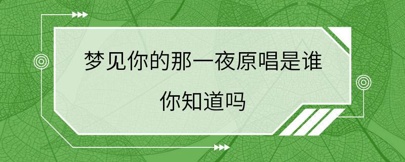 梦见你的那一夜原唱是谁 你知道吗