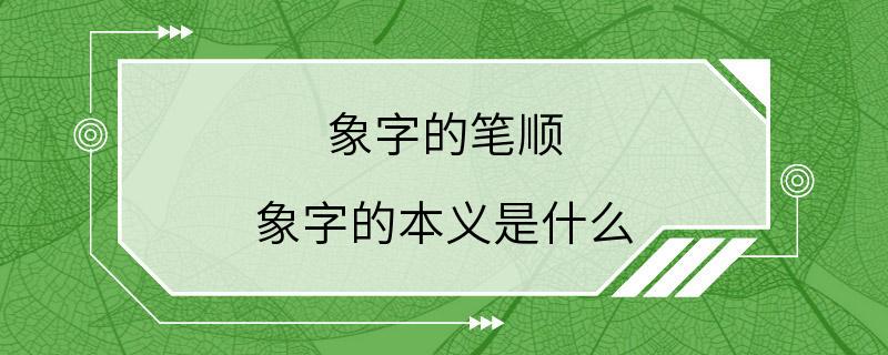 象字的笔顺 象字的本义是什么