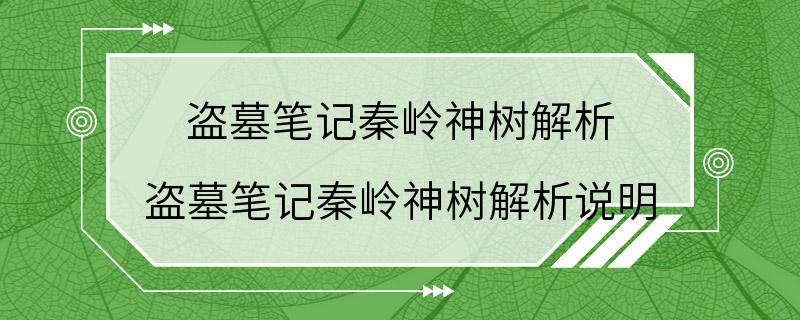 盗墓笔记秦岭神树解析 盗墓笔记秦岭神树解析说明