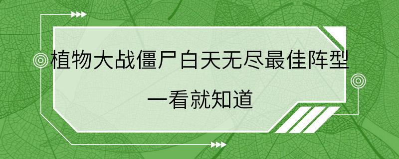 植物大战僵尸白天无尽最佳阵型 一看就知道