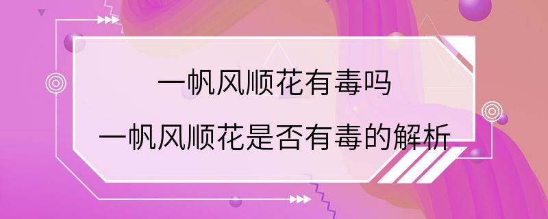 一帆风顺花有毒吗 一帆风顺花是否有毒的解析