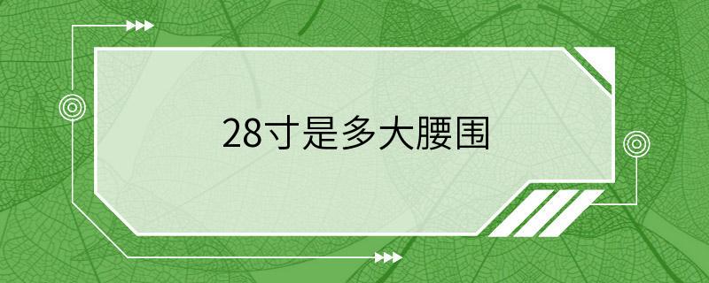 28寸是多大腰围