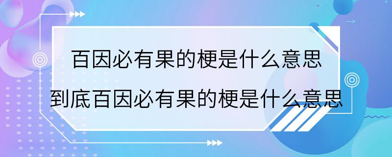 百因必有果的梗是什么意思 到底百因必有果的梗是什么意思