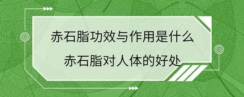 赤石脂功效与作用是什么 赤石脂对人体的好处