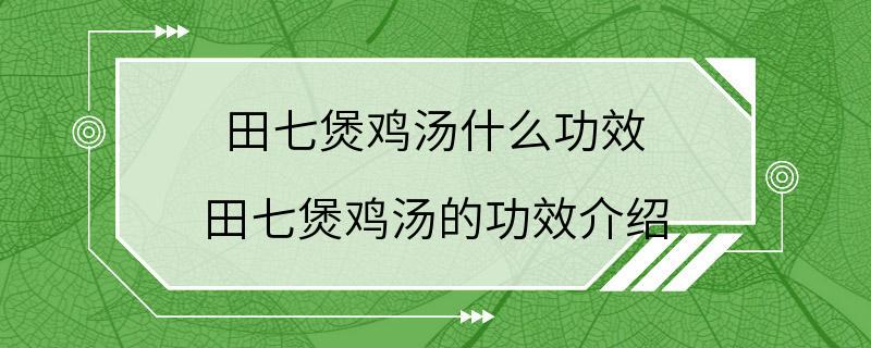 田七煲鸡汤什么功效 田七煲鸡汤的功效介绍