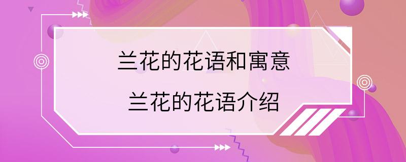 兰花的花语和寓意 兰花的花语介绍