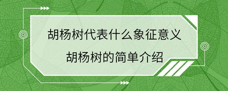 胡杨树代表什么象征意义 胡杨树的简单介绍