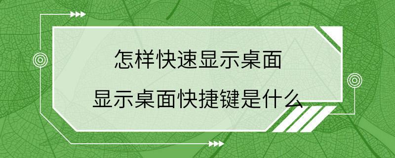 怎样快速显示桌面,显示桌面快捷键是什么