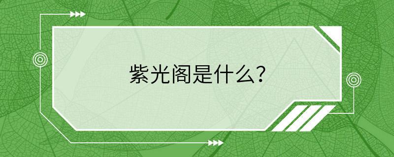 紫光阁是什么？