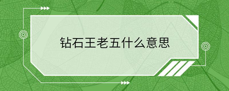 钻石王老五什么意思