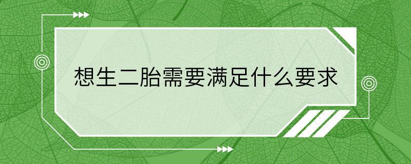 想生二胎需要满足什么要求