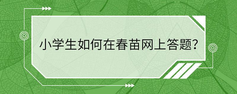 小学生如何在春苗网上答题？