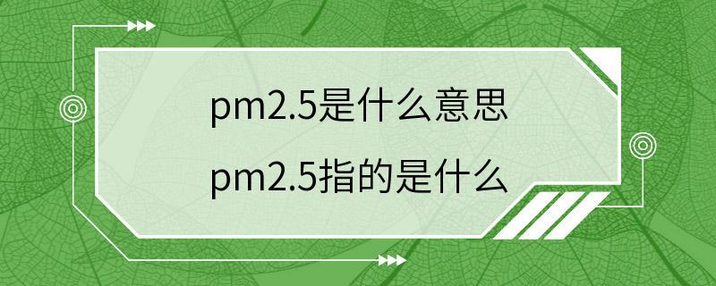 pm2.5是什么意思 pm2.5指的是什么